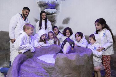 Dubai Aquarium & Underwater Zoo: Entry Ticket + Penguin Encounter