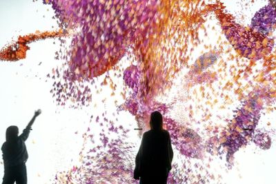 Nxt Museum: Entry Ticket + WONDR Experience