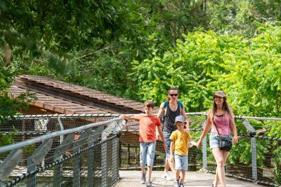 Thot Park: Entry Ticket - photo 2