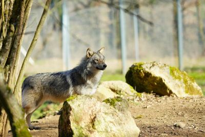 Thot Park: Entry Ticket