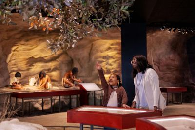 Witte Museum: Entry Ticket - photo 2