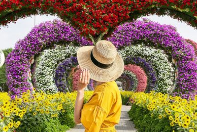 Dubai Miracle Garden: Entry Ticket + Hotel Transfer