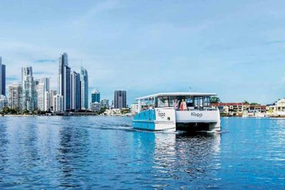 Sea World: Entry Ticket + Hopo Ferry - photo 2