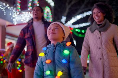 Kennywood Holiday Lights: Entry Ticket - photo 2