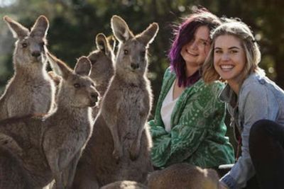 Symbio Wildlife Park: Entry Ticket