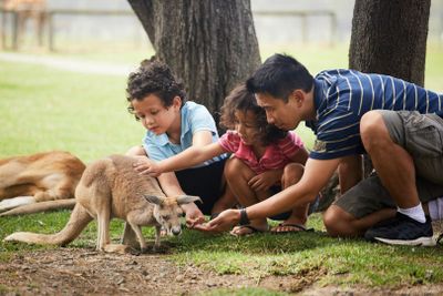 Oakvale Wildlife Park: Entry Ticket