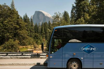 From San Francisco: Yosemite Entry + Transport