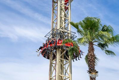 Viaport Theme Park with Aquarium and Lion Park: Entry Ticket - photo 2