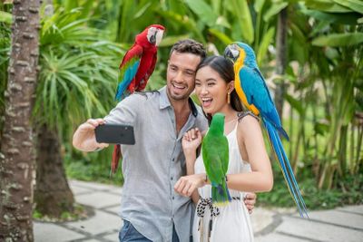 Bali Bird Park: Entry Ticket
