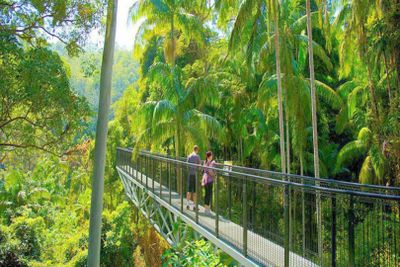 Tamborine Rainforest Skywalk: Entry Ticket