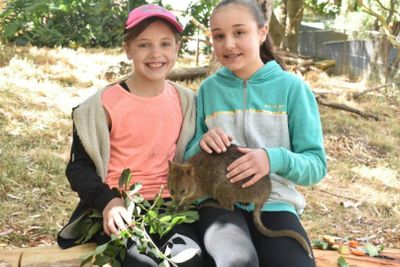 Gorge Wildlife Park: Entry Ticket