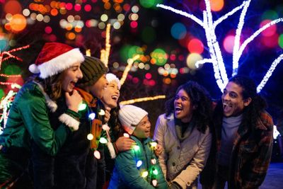 Holidays at Castle Park: Entry Ticket - photo 2