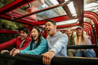 Blue Mountains & Sydney Zoo: Entry - photo 2