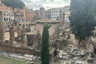 Rome: Archeological Area Largo Argentina Entry Ticket - photo 2
