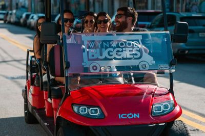 Wynwood Walls: General Admission + Neighborhood Buggy Experience