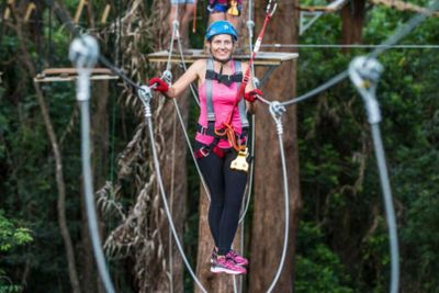 TreeTop Challenge Sunshine Coast: Admission Ticket - photo 2