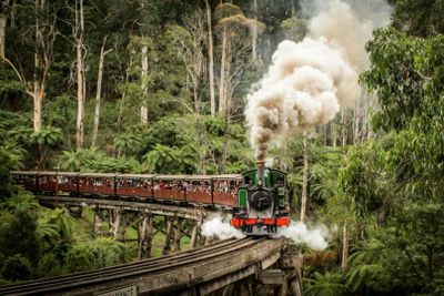 Puffing Billy Steam Train: Belgrave to Gembrook Return Ticket