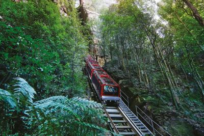 Blue Mountains: Scenic World Entry Ticket + Harbour Cruise from Sydney