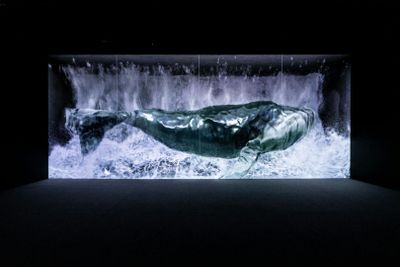 Музей Арте в Лас-Вегасе: Входной билет