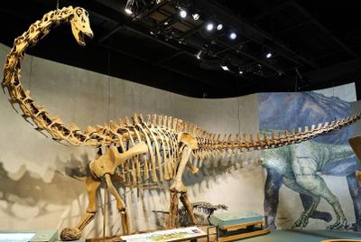 Denver: Museum of Nature and Science Self-Guided Audio Tour (Without a Ticket) - photo 2