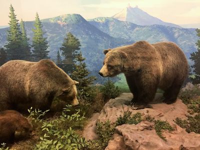 Denver: Museum of Nature and Science Self-Guided Audio Tour (Without a Ticket)