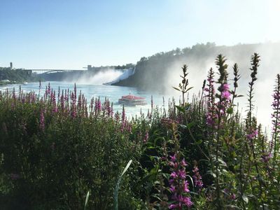 Путешествие за водопадом: Входной билет - photo 2