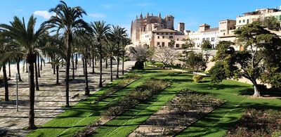 Palma: Paseo autoguiado por su legado gótico y mediterráneo - photo 2