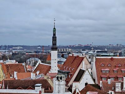 Tallinn: Self-Guided Audio Walk Through the Medieval Old Town