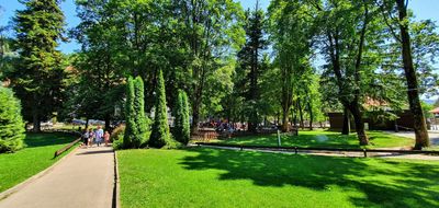Sinaia: Self-Guided Audio Walk Through Romania’s Royal Mountain Gem - photo 2