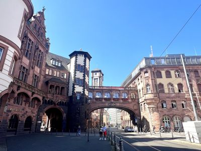 Frankfurt: Walk Through Riverfront, Old Town, and Modern City Life