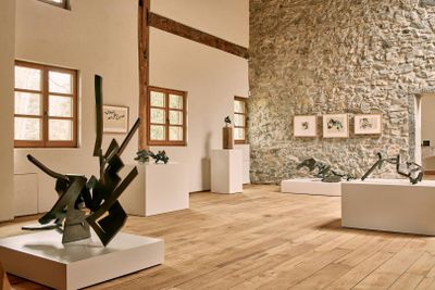 Chillida Leku: Входной билет - photo 2