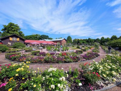 Gothenburg: Self-Guided Audio Walk Through the Historic Center