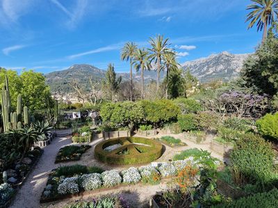 Sóller: Self-Guided Audio Walk Through Mallorca’s Native Flora