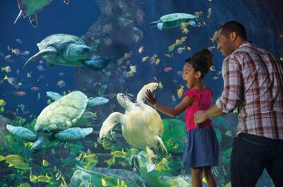 SeaWorld San Diego: Билет с быстрым входом