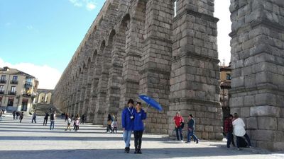 Толедо и Сеговия: Однодневная экскурсия из Мадрида с посещением Алькасара в Сеговии - photo 2