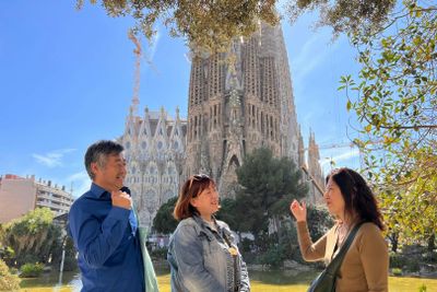 Park Güell & Sagrada Familia: Entry + Chinese, Japanese, Korean or English Guide - photo 2
