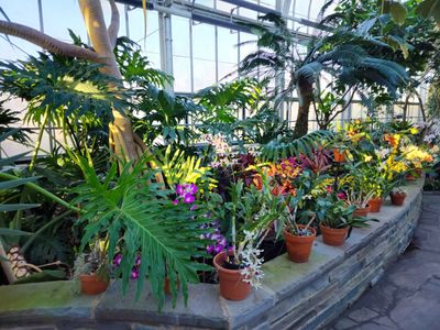 Richmond: Self-Guided Audio Walk Through Garden Beauty