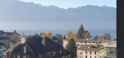 Genève : visite audio autonome des rives, du Rhône au Léman - photo 2
