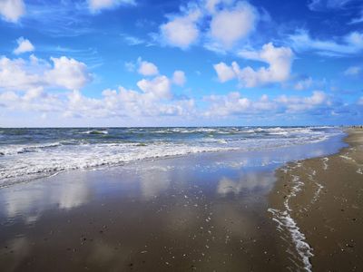 Texel: Self-Guided Audio Walk Through Dunes, Pines, and Den Burg - photo 2