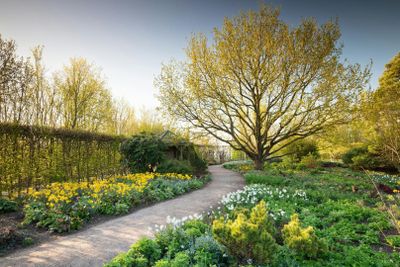 RHS Garden Hyde Hall: Входной билет - photo 2