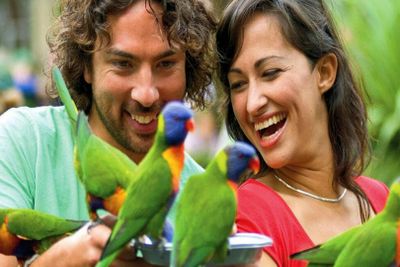 Заповедник Currumbin Wildlife Sanctuary and TreeTop Challenge: комбинированный билет - photo 2