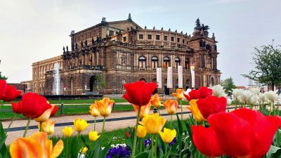 Dresden: Self-Guided Audio Tour durch das barocke Herz der Stadt