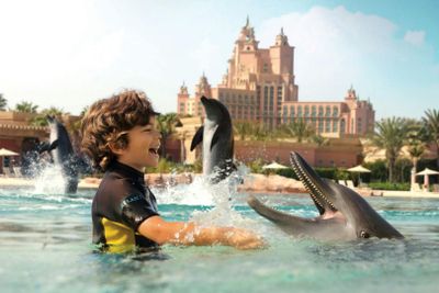 Aquaventure: Входной билет + встреча с дельфинами в деревне Атлас - photo 2