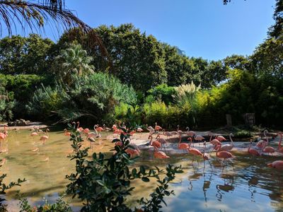 Barcelona: Zoo Skip The Line Ticket & Self-Guided City Walk