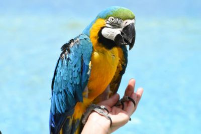 Terra Natura Murcia: Входной билет - photo 2