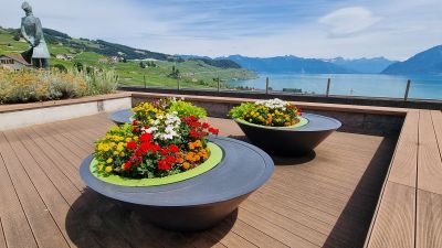 Lavaux : visite audio autonome à travers les vignes en terrasses - photo 2