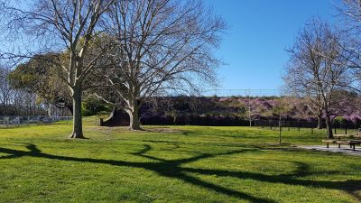 Sydney: Self-Guided Audio Walk through Centennial Park’s Oasis