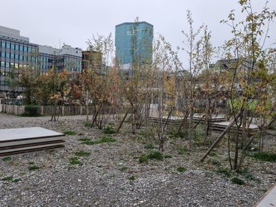 Zürich: Self-Guided Audio Walk Through the City’s Creative West