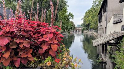 Strasbourg: Walk Through the Old Town's Living Heritage - photo 2