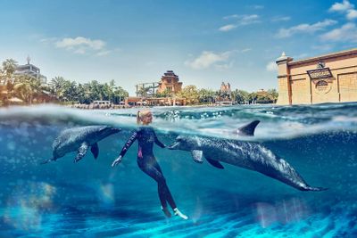 Aquaventure: Входной билет + плавание с дельфинами в деревне Атлас - photo 2